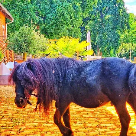 Stableyard Appartement Lamorlaye