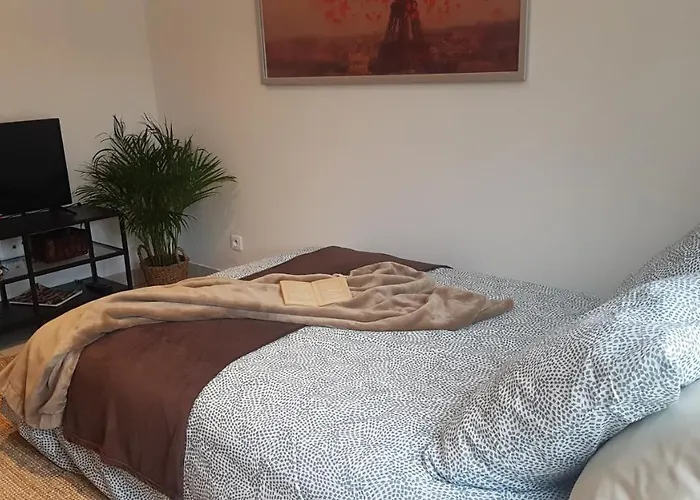 Stableyard アパート *